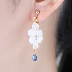 花與石 九月生日石：藍寶石（耳環）#853 第1張的照片