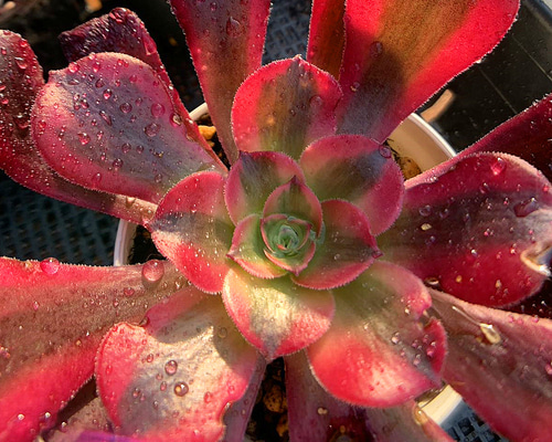 134ea91c0185b0de2de769dcd9a116