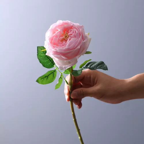 選べる6色カラー【イングリッシュローズ】造花単品 アートフラワー