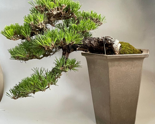 cc97927c6a68323b621eb34f50d7cd