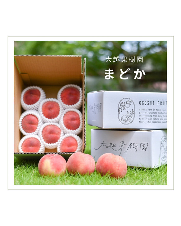 【8月上旬〜中旬頃出荷予定】福島県桑折町・伊達市産桃　8玉程度　暑中見舞い（まどか） 1枚目の画像