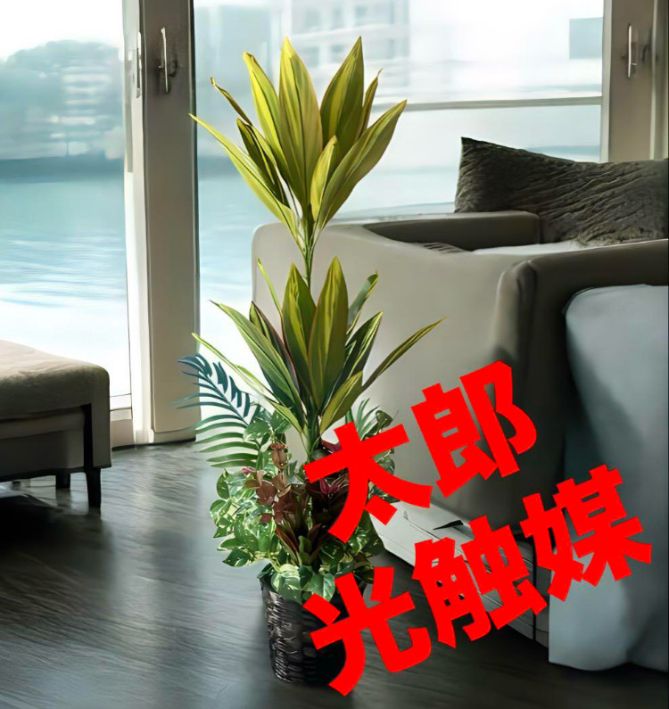 光触媒　人工観葉植物　ウォールグリーン　造花　インテリア　マッサンアレンジr15