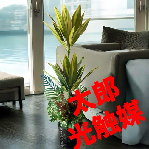 光触媒　人工観葉植物　ウォールグリーン　フェイク　マッサンアレンジr15 光触媒人工観葉植物ウォールグリーンフェイクマッサンアレンジr15