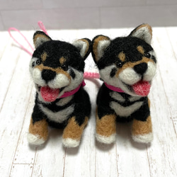 ひな祭り菱餅に乗った柴犬ちゃんのお雛様羊毛フェルト 羊毛フェルト