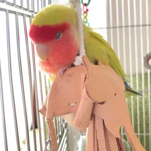 送料無料【本革】 ❤️レザー牛ヌメ革❤️ガシガシ系インコ鳥の