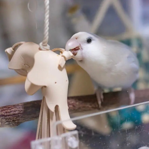 送料無料【本革】 ❤️レザー牛ヌメ革❤️ガシガシ系インコ鳥の