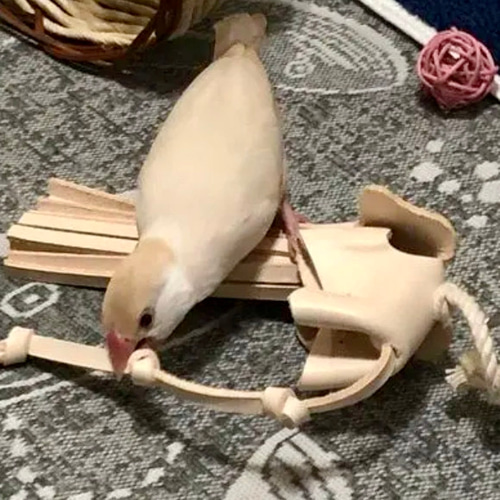送料無料【本革】 ❤️レザー牛ヌメ革❤️ガシガシ系インコ鳥の
