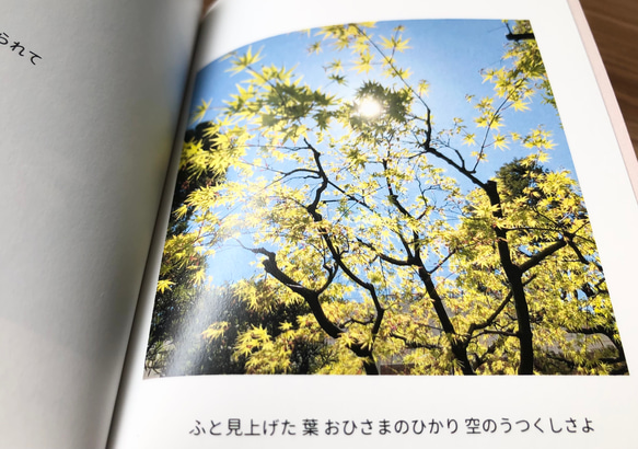 ほっこり しあわせ 写真集『うるわしのせかい』　　　　※受注生産 2枚目の画像