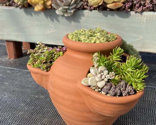 e7678d925e25c2768322046024281d