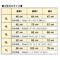  第16張的照片