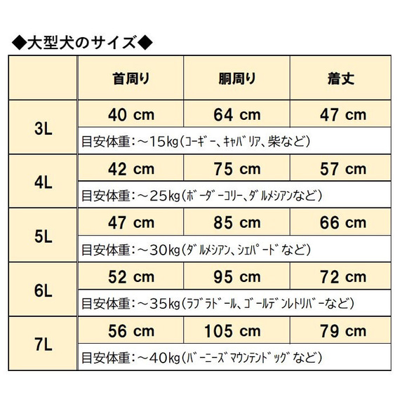  第16張的照片