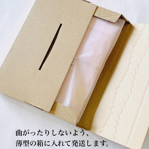 水引昆虫ポチ袋3枚セット ぽち袋・お年玉袋 tomoemon 通販 12186474