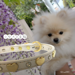 首輪 カラー スタッズ ビジュー 小型犬用 散歩 犬服 犬 猫 ペット ドッグウェア PV100 1枚目の画像