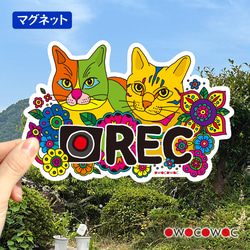 アニマル防水ステッカー♥カメレオン シール・ステッカー owocowac