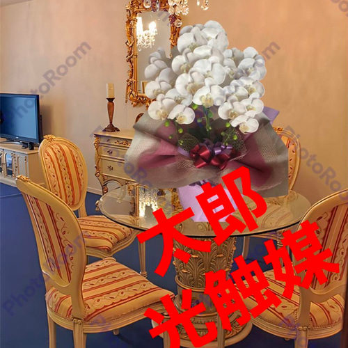 光触媒 人工観葉植物 ウォールグリーン フェイクグリーン リアル胡蝶蘭