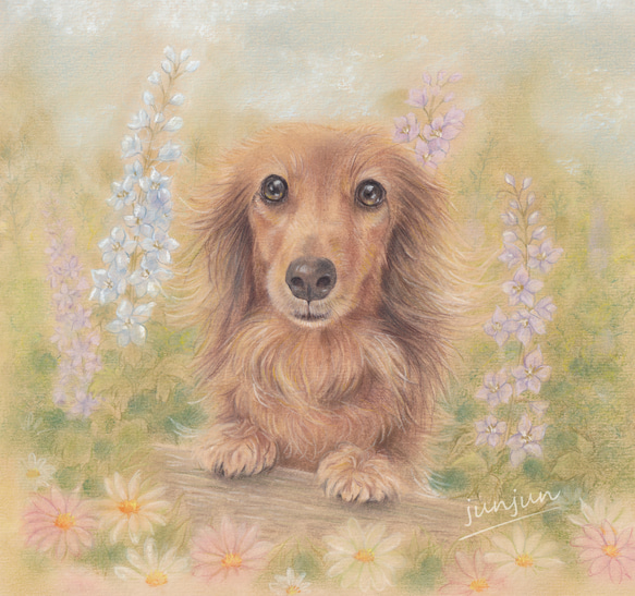 まとめ買い】 原画】Animal-eyes『犬』（パステル画） 絵画 - 絵画