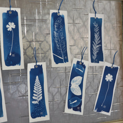 植物剪影。寫意藍曬書籤（四張一組） Botanic Cyanotype Bookmarks (4 in 1 set) 第9張的照片