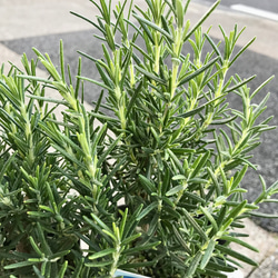  第10張的照片