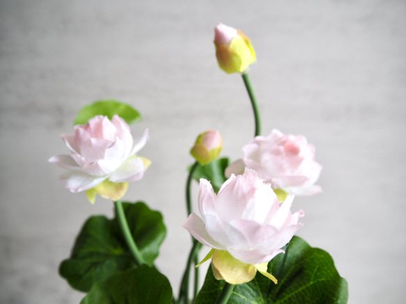 【蓮】setコロンと丸いゴールドフラワーベースアレンジ 5枚目の画像