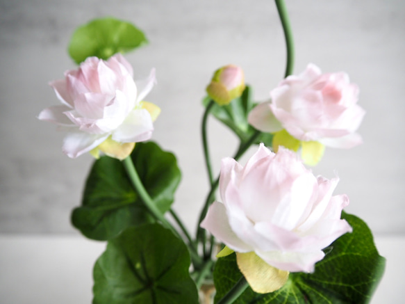 【蓮】setコロンと丸いゴールドフラワーベースアレンジ 3枚目の画像