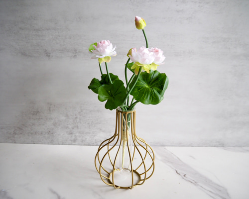 d69256407cab1ec711328a29107560