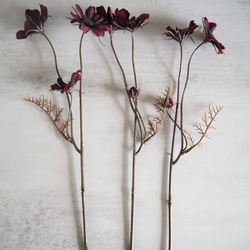 【チョコレートコスモス3輪】set花瓶付きゴールドワイヤーフォトスタンドアレンジ 7枚目の画像