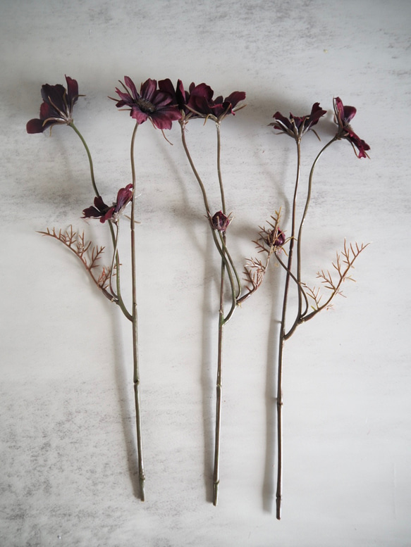 【チョコレートコスモス3輪】set花瓶付きゴールドワイヤーフォトスタンドアレンジ 7枚目の画像