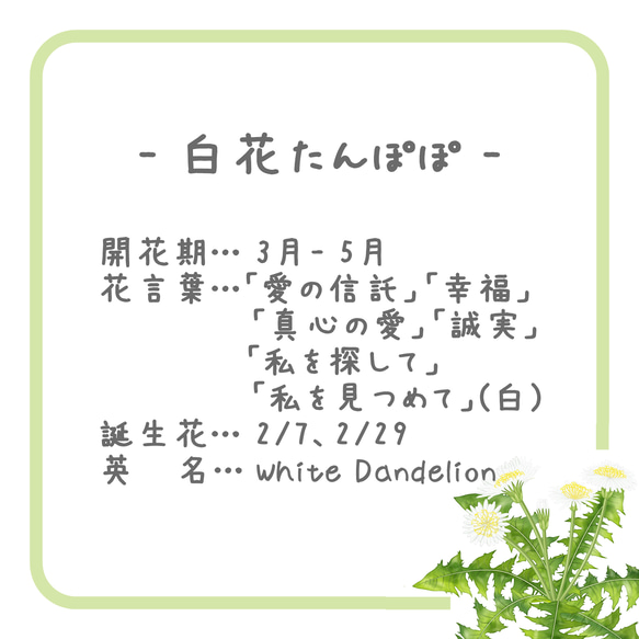 白花たんぽぽとクローバーのマスクチャーム  ～四季彩～ （ つまみ細工＊受注制作 ） 5枚目の画像