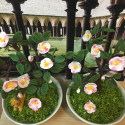 再々販しました！》樹脂粘土製 ミニチュア盆栽〈ピンクヒメシャラ