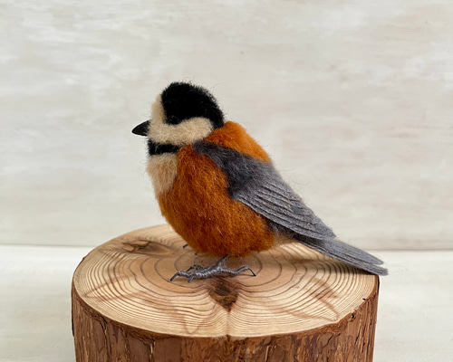 a7a65837923ab9b4c1c44dc1e37661