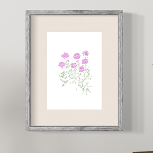 7月14日の誕生花 バーベナ（ピンク） 私のことを応援してください  