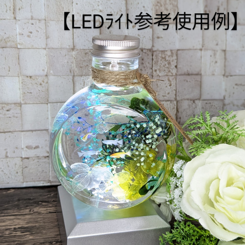 №255 癒やしのメダカﾊｰﾊﾞﾘｳﾑ その他素材 ✾HBRUM✾ 通販 12226628