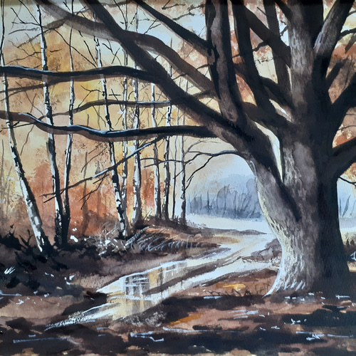水彩画 大樹 絵画 makochin 通販 12231377｜Creema(クリーマ