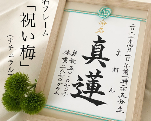 注文割引 命名書オーダー 水引フレーム「祝い梅」ナチュラル 雑貨・その他 その他