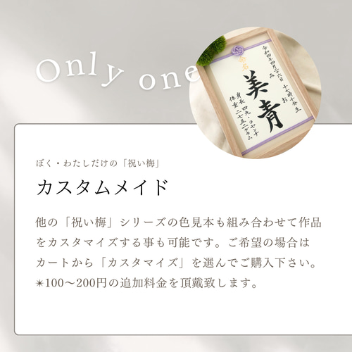命名書オーダー 水引フレーム「祝い梅」A4サイズ 雑貨・その他 kouran