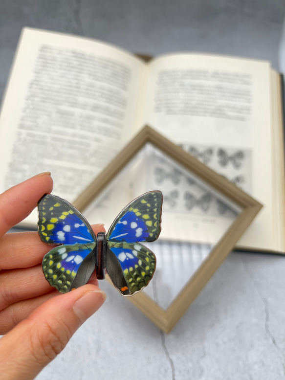 木製蝶々標本ブローチ「オオムラサキ」 2枚目の画像