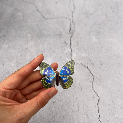 木製蝶々標本ブローチ「オオムラサキ」 ブローチ 平田製作所 通販