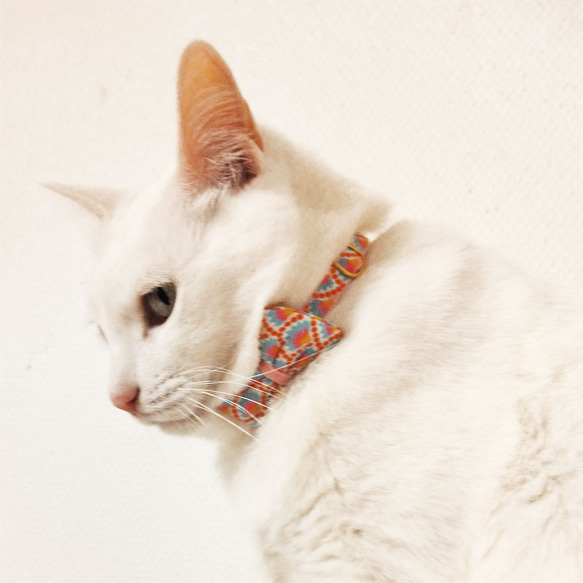 猫の首輪　petit pan wasabi 4枚目の画像