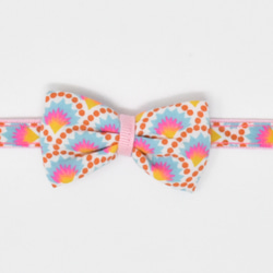 猫の首輪　petit pan wasabi 3枚目の画像