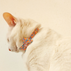 猫の首輪　petit pan wasabi 5枚目の画像