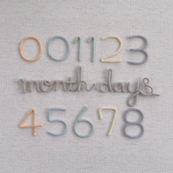 ウールレター 月齢フォト set 数字 month days ｶﾗﾌﾙ 雑貨・その他 Suu