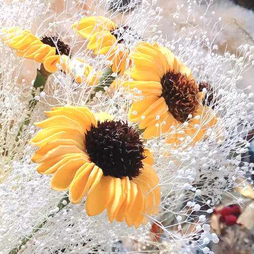 再販【夏の誕生花2025】1番人気！人気の枯れないドライフラワー