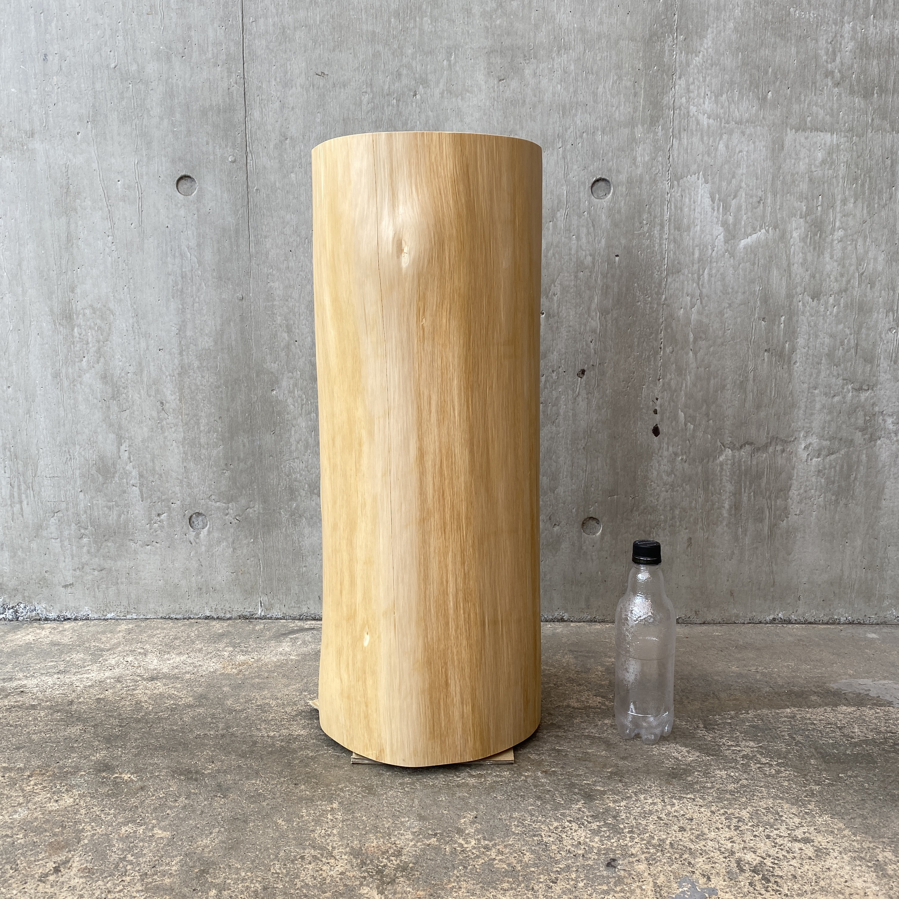 【ヒノキの切り株のアルコールスタンド】丸太 オブジェ 植物 ウィンドーディスプレイ 高級感 清潔感 サイドテーブル