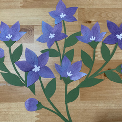 壁面飾り【桔梗】7月 8月 9月 夏の花 切り絵 とことこ♪ 通販 12257898