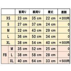  第13張的照片