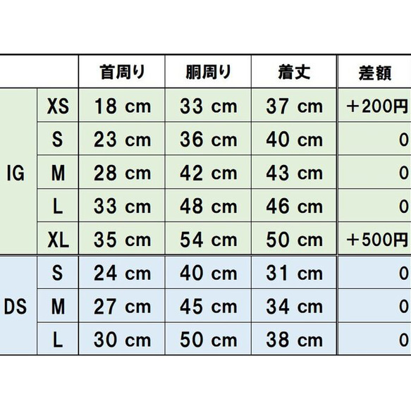  第11張的照片