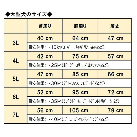  第12張的照片