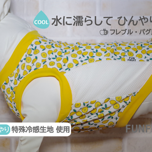 フレブル 用】ひんやり！冷え冷えクール タンクトップ（犬服）【柑橘柄