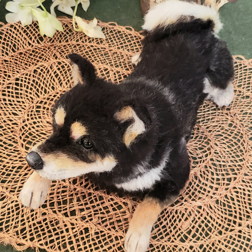 ヒロコページ❣️柴犬オーダー犬羊毛フェルト handmade 羊毛フェルト ☆ 柴犬 犬 オーダー - メルカリ