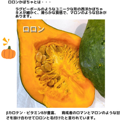 静岡県産　　マロンのロマン　ロロン栗かぼちゃのピクルス 4枚目の画像